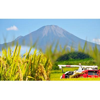 ふるさと納税 米子市 令和7年産 大山しらゆき米 10kg　無洗米　コシヒカリ |  | 01