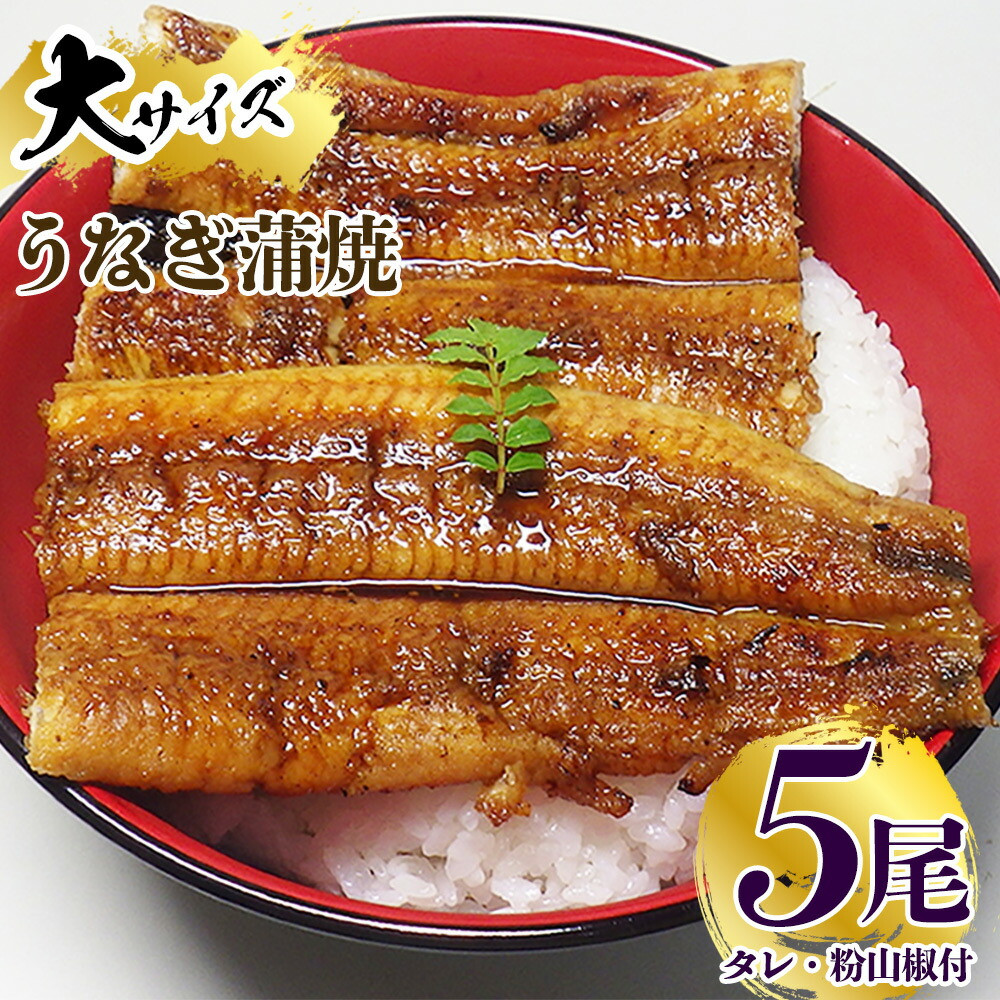 
V7304_炭焼き うなぎ 蒲焼 大サイズ 5尾 セット（約150～199g × 5尾）タレ・粉山椒付き　国産鰻　冷凍ウナギ　1尾ずつ真空パック　土用の丑の日　紀伊国屋文左衛門本舗
