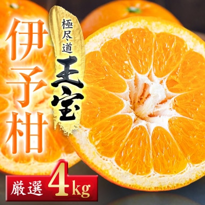 【愛媛名産】玉宝伊予柑　4kg【C64−58】【1511350】
