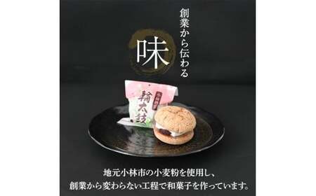 【地元銘菓】輪太鼓（わでこ） 10個入 （輪太鼓 わでこ 老舗 ブッセ お餅 餅 餡子 銘菓 お菓子 宮崎 小林市）