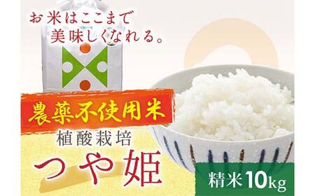 植酸栽培米つや姫（農薬：栽培期間中不使用）（精米）10kg F2Y-4412