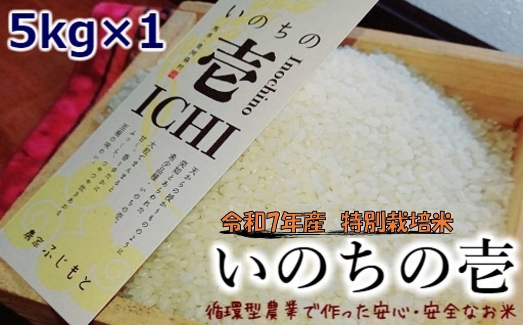 
            【数量限定！農家から直接お届け】令和7年産特別栽培米 いのちの壱(白米)5kg×1
          