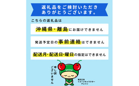 《温室栽培》令和7年産 山形県産 さくらんぼ 「 佐藤錦 」秀品 200g（100g×2パック） 【2025年4月下旬頃から5月下旬頃発送予定】　012-A-MM001
