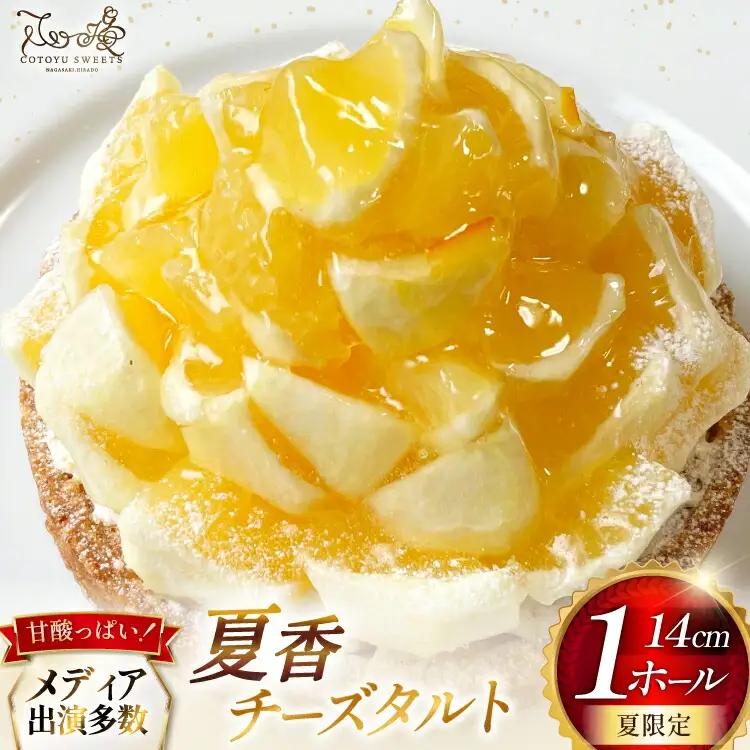 柑橘 スイーツ 夏香 チーズ タルト 1ホール 14cm [心優-Cotoyu Sweets- 長崎県 平戸市 hr42bjo490073]