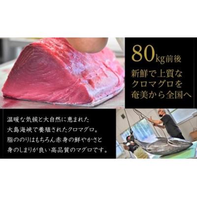 ふるさと納税 瀬戸内町 奄美大島産養殖クロマグロ(3柵セット) |  | 01