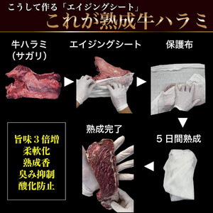 旬熟成　熟成牛ハラミ　タレ漬け 1000g　【11100-2225】