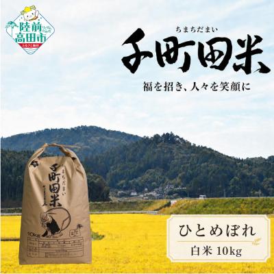 ふるさと納税 陸前高田市 先行受付 令和8年産 ひとめぼれ 白米 10kg 千町田米 布袋様 パッケージ 米 お米 ライス