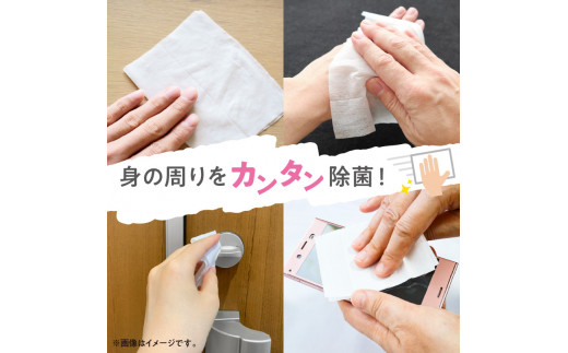 M90-0028_【ふるさと納税】【6か月定期便】LD-104 リファイン アルコール除菌 ウエットティッシュ（60枚入り×3P）×16セット　合計48パック×6か月 おしぼり 掃除 アルコール ヒア