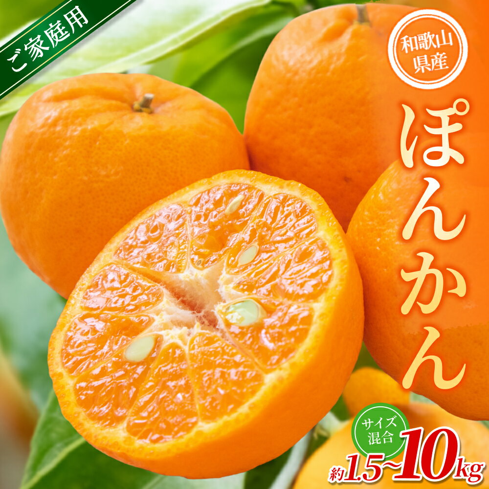 【ふるさと納税】 家庭用 ポンカン / 手選別 みかん オレンジ 甘い 和歌山 【選べる容量】 1.5kg 4.5kg 6kg 10kg ※2026年1月上旬～2月上旬頃に順次発送