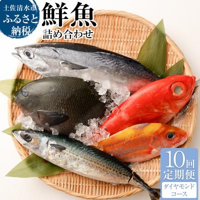 ふるさと納税 土佐清水市 【10回定期便】おまかせ!季節の鮮魚 お楽しみセット(ダイヤモンドコース)【J00051】