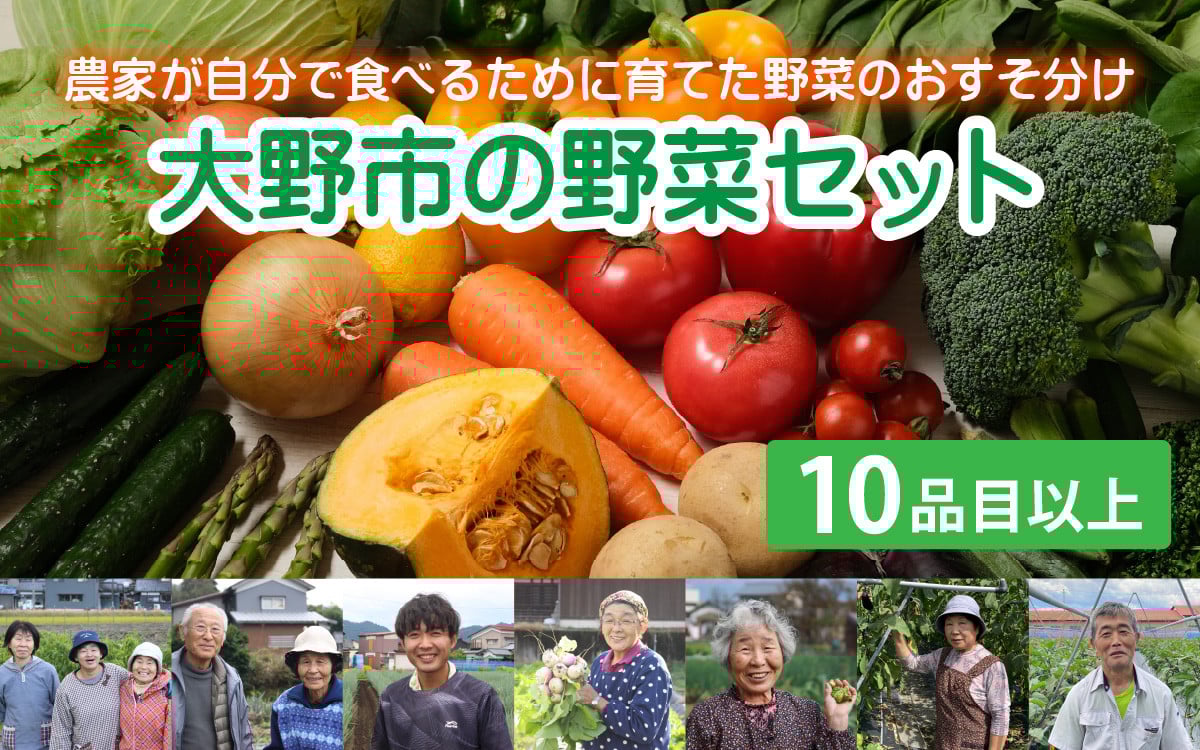 
            【農家直送】「大野市の野菜セット」《農家が自分で食べるために育てた野菜のおすそ分け》[A-003017]
          