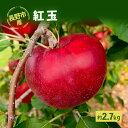 【ふるさと納税】長野市産「紅玉」約2.7kg　【長野市】　お届け：2024年9月中旬～下旬