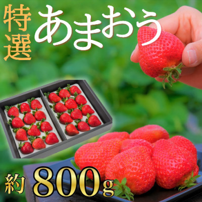 
            うるう農園の贈答用あまおう 約800g(大牟田市)【1528868】
          