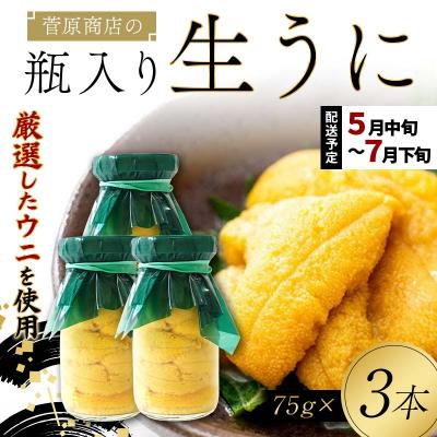 ふるさと納税 山田町 【発祥の地】三陸山田 牛乳瓶入り生うに 【先行予約】75g×3本 令和8年5月中旬以降発送