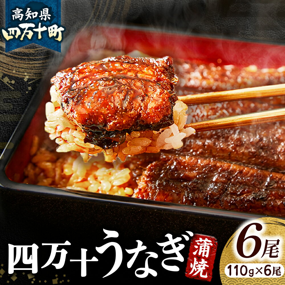 【ふるさと納税】 うなぎ 蒲焼き セット 660g (110gx6本) たれ 山椒 入り 小分け 惣菜 国産 冷凍 名店 うな重 ひつまぶし タレ付き 山椒付き ギフト（お歳暮/お正月）高級　お取り寄せ グルメ Esu-125
