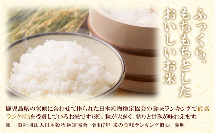 お米 無洗米 あきほなみ 5kg×2袋 有限会社 谷口商店 《30日以内出荷予定(土日祝除く)》鹿児島県 さつま町 無洗米 ごはん
