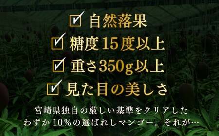 完熟マンゴー「太陽のタマゴ」５L×１玉【規格 基準 最大 濃厚 宮崎 高級 果物 フルーツ 贈答 ギフト 先行受付 送料無料】
