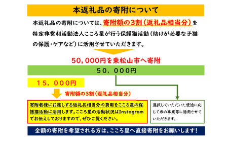 【お礼の品なし】保護猫活動支援〜野良猫から地域で見守るさくら猫に～ 寄付額50,000円 猫 保護 支援 保護猫 ねこ 猫 ネコ 里親 猫 こころ星 猫 保護活動支援 東松山 埼玉