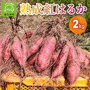 【ふるさと納税】熟成紅はるか2kg