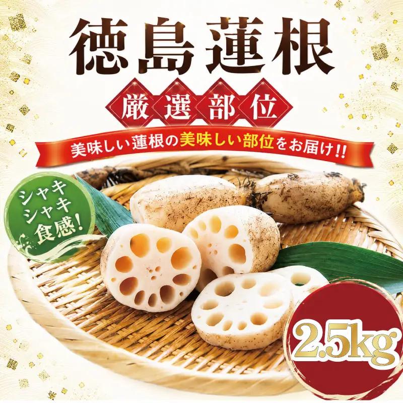 蓮根 厳選 こだわり部位セット 2.5kg