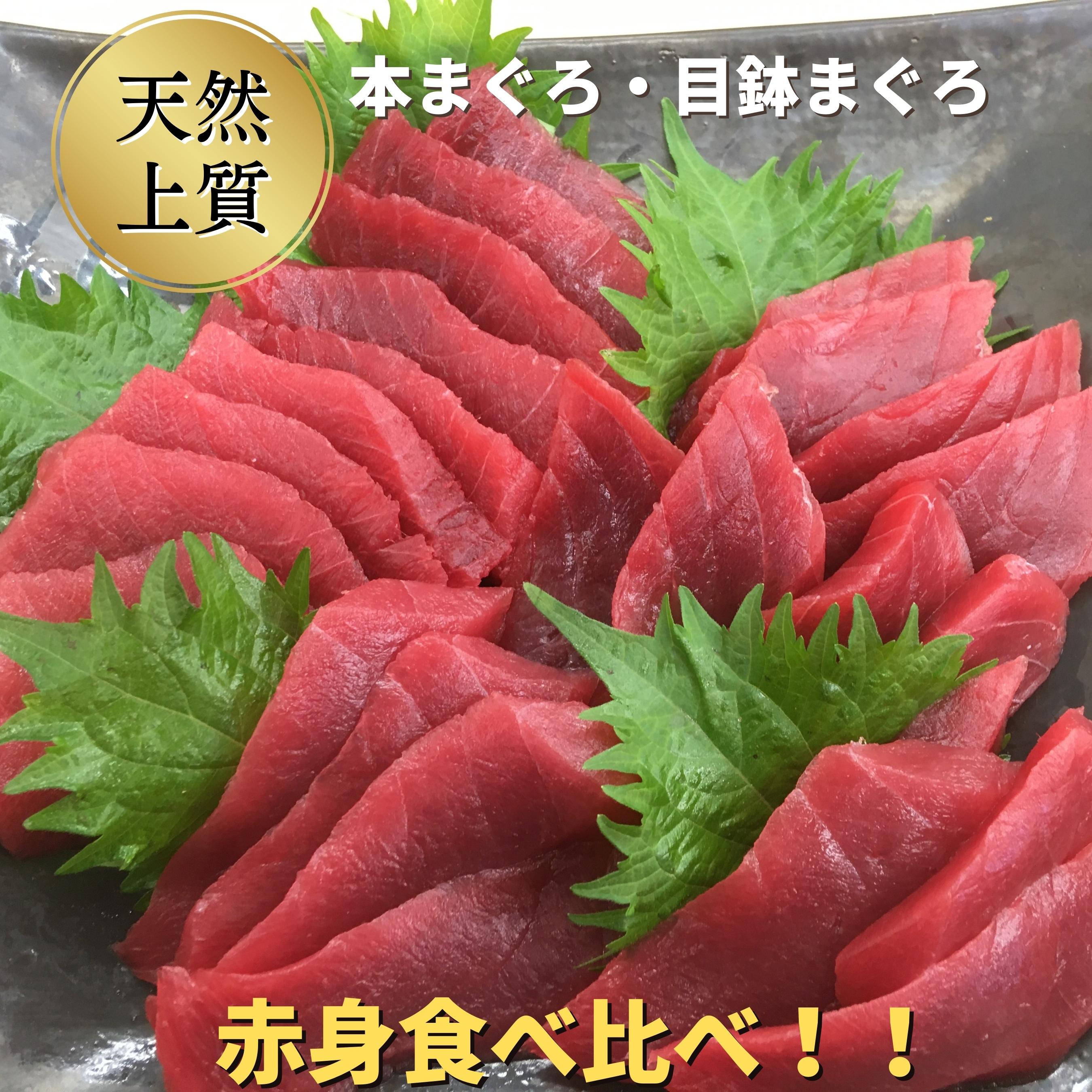【ふるさと納税】 本物の味をお届け！天然まぐろ赤身づくしお刺身セット【本まぐろ赤身2柵・目鉢まぐろ赤身2柵】