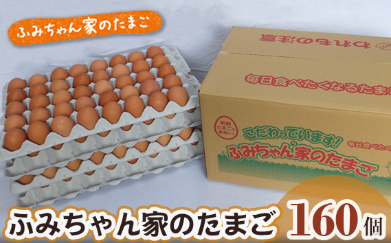 
No.062 ふみちゃん家のたまご160個入 ／ 卵 タマゴ 玉子 新鮮 広島県
