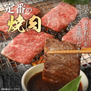 宮崎牛 ウデ 焼肉用 400g 宮崎県産和牛小間切れ 100g 計500g　N0147‐A3322