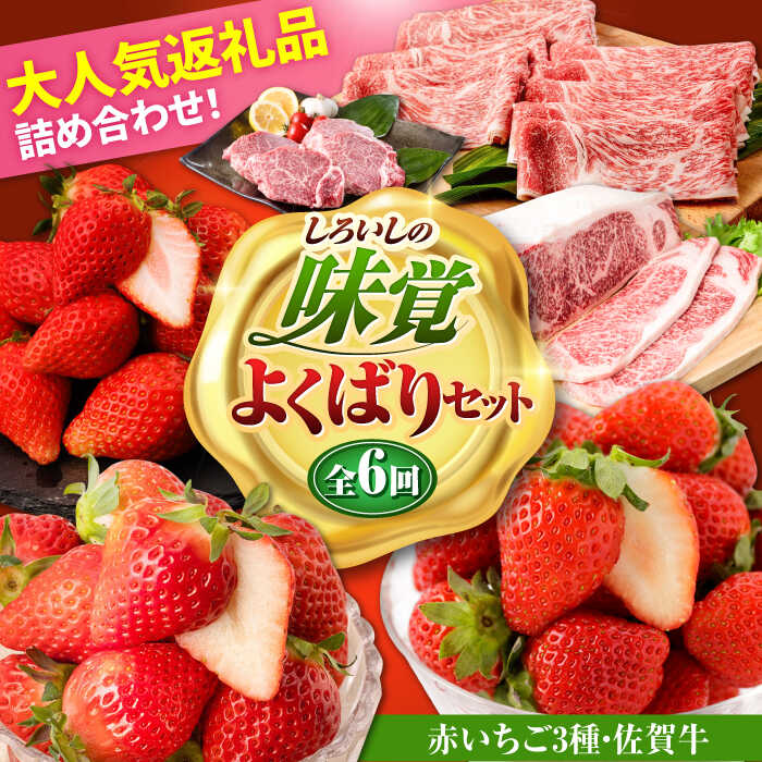 【ふるさと納税】【R8年2月以降発送】しろいしの味覚よくばりセット（赤いちご3種と佐賀牛）/ いちご苺 果物 フルーツ 黒毛和牛 A4 A5 ブランド牛 佐賀県 白石町 [IZZ027]