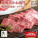 【ふるさと納税】 愛媛あかね和牛焼肉用赤身ウデモモ（約800g）