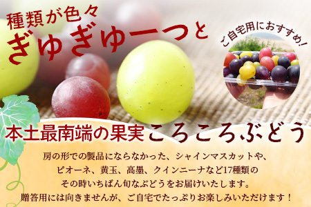 【先行予約】＜訳アリ＞ 本土最南端 ぶどう　ころころぶどうパック 約1.2㎏ ｜訳あり 家庭用 産地直送 旬 ブドウ 葡萄 ぶどう フルーツ 果物 くだもの ≪2025年8月より順次発送≫（BB707