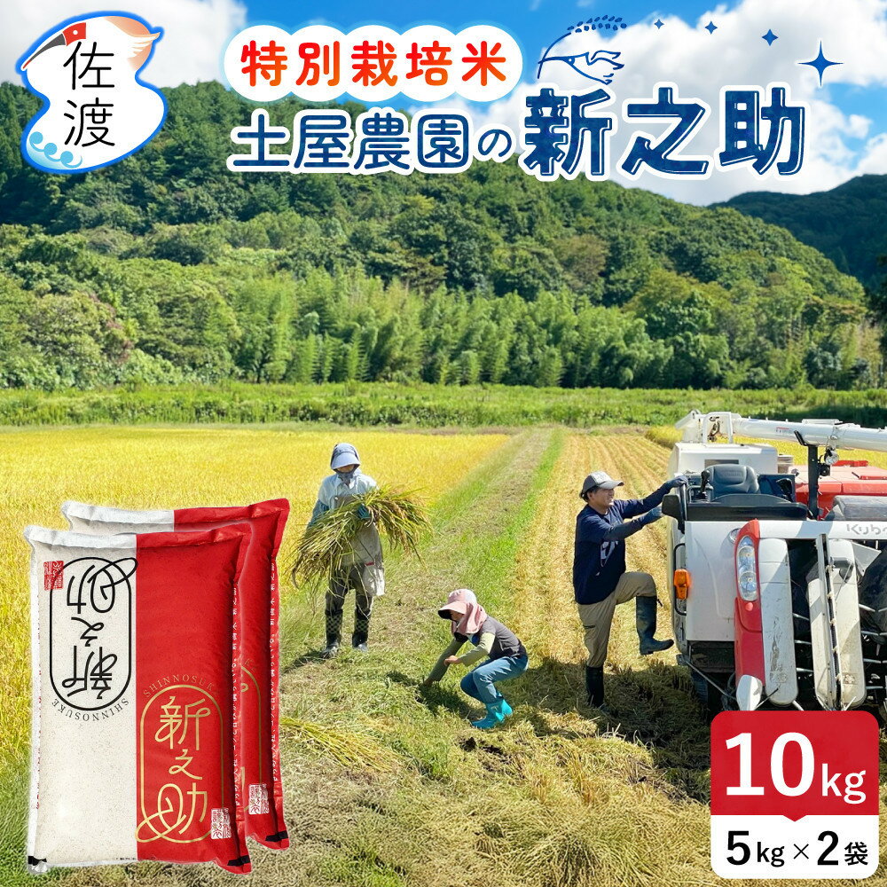 【ふるさと納税】佐渡島産新之助 白米10Kg（5Kg×2袋） 土屋農園 特別栽培米 令和7年産【食の宝島佐渡】