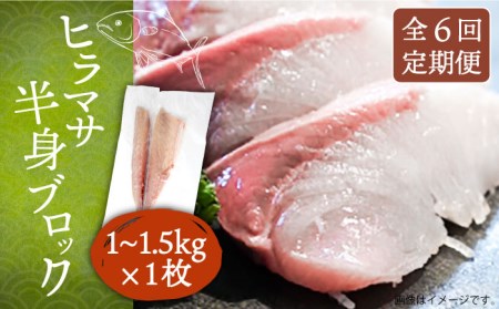【全6回定期便】壱岐産 ヒラマサフィレ 約1から1.5kg（半身）[JDT040]