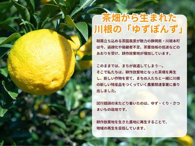 8-4 川根の山のゆずポン酢