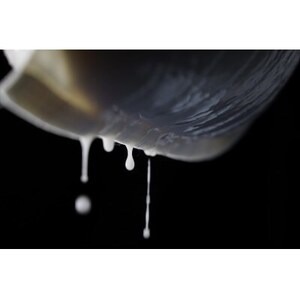 勝山 純米大吟醸 雫搾り 簾(れん)【1447280】