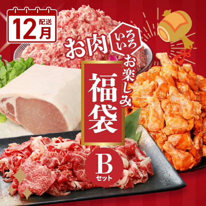 【ふるさと納税】12月配送★お肉いろいろ！お楽しみ福袋Bセット - お肉の詰め合わせセット5kg 牛肉・豚肉・鶏肉 国産 訳ありスパイシーチキン/豚ロースブロック/豚ミンチ/黒毛和牛切り落とし 豚挽き肉 ブロック肉 冷凍配送 12月発送 12月お届け 送料無料 【宮崎県木城町】