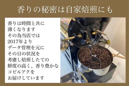最高級コーヒー コピルアク 100g【中細挽き（サイフォン）】