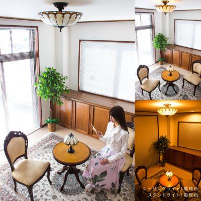 ふるさと納税 海南市 テーブルランプ ヴィトライユ マーガレット AKU1011005 |  | 03