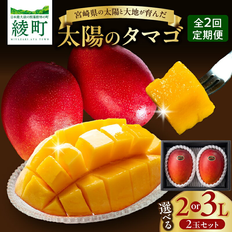 【ふるさと納税】≪サイズが選べる≫【全2回お届け】太陽のタマゴ 2L 3L 2玉 ［T20］［T21］ 定期便 フルーツ 果物 くだもの 2027年 完熟マンゴー 国産 宮崎マンゴー マンゴージュース 南国フルーツ おすすめ デザート ギフト 贈り物 プレゼント 冷蔵 綾町 送料無料