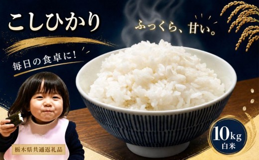 お米 令和8年産 こしひかり 白米 10kg【2026年 先行予約】 | 栃木県共通返礼品