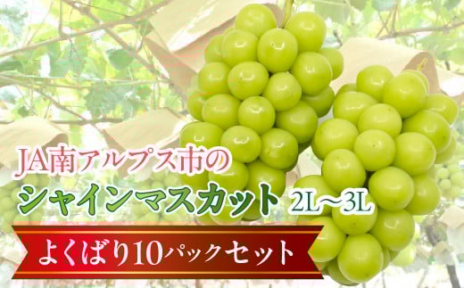 【令和7年発送先行予約】南アルプス市産シャインマスカットよくばり10パックセット（２L～３L） ALPAA006  山梨 山梨県 ぶどう 葡萄 ブドウ マスカット 種なし 大粒 フルーツ くだもの 果物 高級 新鮮 産地直送 贈答 ギフト 家庭用  大容量 セット たくさん ボリュームパック 詰め合わせ 2025年