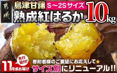 先行受付!【11月お届け】島津甘藷　熟成紅はるか 10kg(S～2S)_AA-A701-m-11_(都城市) 島津甘藷 紅はるか サツマイモ 未選別 10kg S～2S 