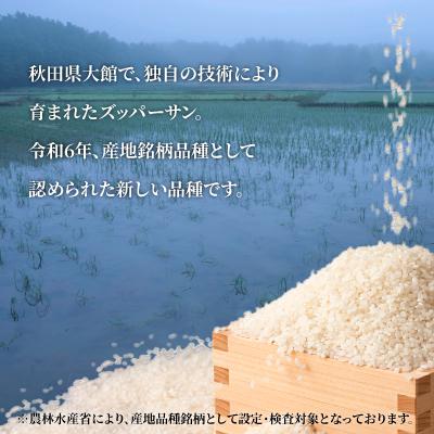 ふるさと納税 大館市 【令和7年産】ズッパーサン精米10kg(5kg×2袋) |  | 01