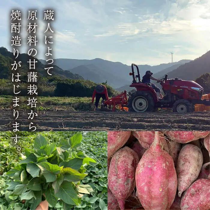 【全6回定期便】五島灘 紅芋 1800ml×1本[RAW040] 焼酎 芋焼酎 定期便 焼酎 芋焼酎 定期便 焼酎 芋焼酎 定期便 焼酎 芋焼酎 定期便 焼酎 芋焼酎 定期便九州 長崎
