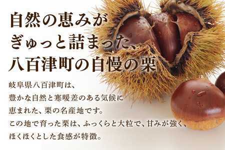 秋の自信作！銘菓「栗きんとん」6個入（藤乃屋）