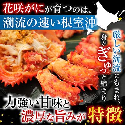 ふるさと納税 根室市 ＜12/21まで年内配送＞★花咲かに500g前後〜650g前後×1尾 A-36054 |  | 01