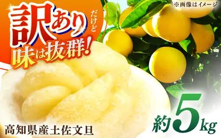 【先行予約】高知県産 訳あり 土佐文旦 約5kg 〈2027年1月下旬頃から発送〉文旦 傷 文旦 シミの訳あり文旦 大容量 ぶんたん 文旦 訳あり わけあり 果物 【株式会社　四国健商】[ATAF149] 支援 支援品