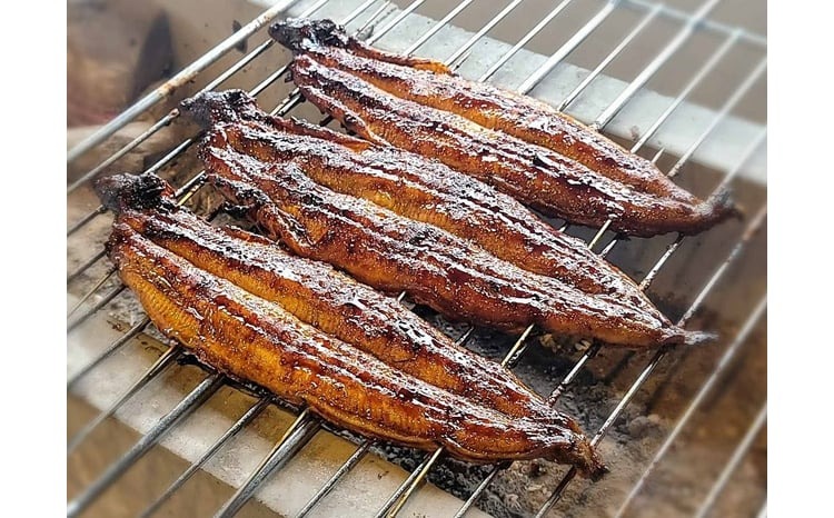 【備長炭で焼く“いい焦がし”】三河一色産うなぎの蒲焼8尾 鰻 ウナギ たれ タレ 国産 備長炭 土用 丑の日 冷凍 三河一色産 H189-015