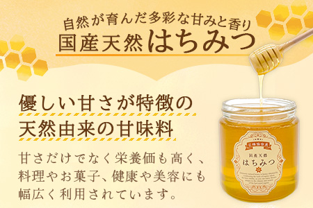 鹿島市産 天然の恵み 100% はちみつ 600g 化粧箱入 B-806 ハチミツ 蜂蜜 ハニー 天然はちみつ 天然蜂蜜 国産