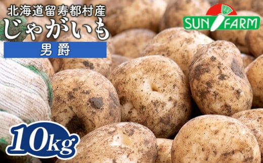 じゃがいも 男爵 10kg いも おいも 芋 イモ ジャガイモ ポテト だんしゃく オンライン 申請 ふるさと納税 北海道 留寿都 野菜 根菜 産地直送 新鮮 採れたて ポテトサラダ コロッケ マッシ