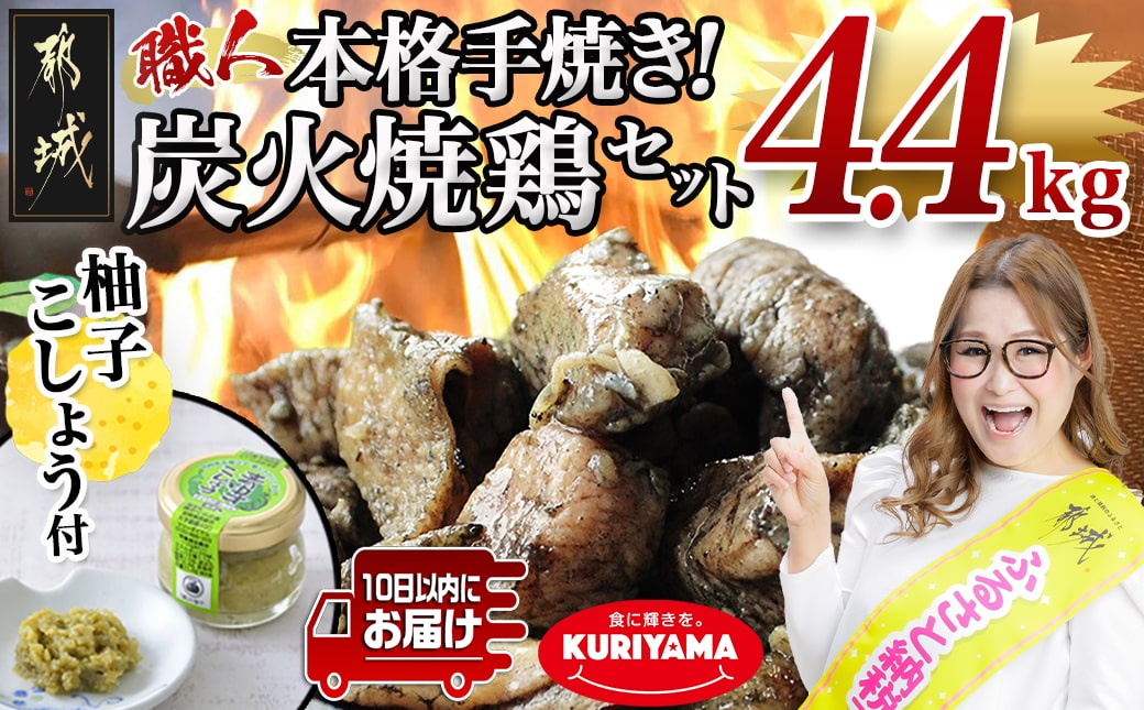 本格手焼き!炭火焼鶏4.4kg(ゆずこしょう付)≪みやこんじょ特急便≫_AC-14-005-4400g-Q